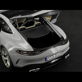 Mercedes-AMG GT 63 2024 Alpengrau 1/12 NZG 103310052 10331/52