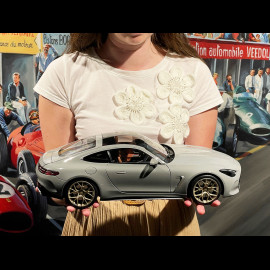 Mercedes-AMG GT 63 2024 Alpengrau 1/12 NZG 103310052 10331/52