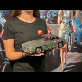 Mercedes-Benz 300 SL 1954 Graphite Grey 1/12 Norev 123852