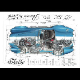 Banner Shelby Cobra 427 S/C 1965 original drawing by Sébastien Sauvadet
