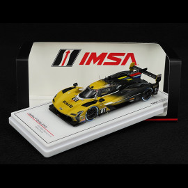 Cadillac V-Series R n° 01 2nd 12h Sebring 2024 1/43 TrueScale TSM430826