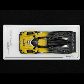 Cadillac V-Series R n° 01 2nd 12h Sebring 2024 1/43 TrueScale TSM430826