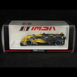 Cadillac V-Series R n° 01 2nd 12h Sebring 2024 1/43 TrueScale TSM430826