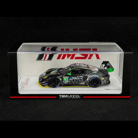 Porche 911 GT3 R Type 992 n° 91 24h Daytona 2023 1/43 TrueScale Models TSM430744