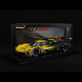 Cadillac V-SERIES.R n° 01 Klassensieger 12h Sebring 2024 1/18 Top Speed TS0605