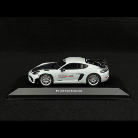 Porsche 718 Cayman GT4 RS Type 982 Track Experience Weissach Package 2022 1/43 Minichamps WAP0204170PCAY