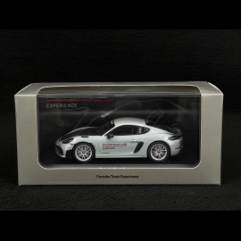 Porsche 718 Cayman GT4 RS Type 982 Track Experience Weissach Package 2022 1/43 Minichamps WAP0204170PCAY