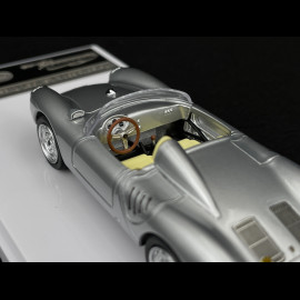 Porsche 550A RS 1956 Grau 1/43 Tecnomodel TM43-61D