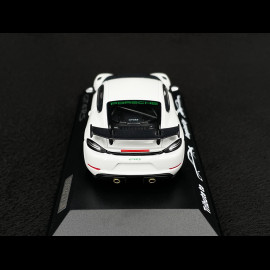 Porsche 718 Cayman GT4 RS Type 982 Tribute Weissach Package 2023 White / Green Stripes 1/43 Minichamps WAP0206010TCAY
