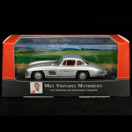 Mercedes 300 SL W198 1954 Silver gray metallic 1/43 Atlas Collection 10101Diver300SL