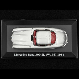 Mercedes 300 SL W198 1954 Silbergrau Metallic 1/43 Atlas Collection 10101Diver300SL