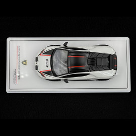 Lamborghini Huracan Sterrato 2023 Bianco Asopo 1/43 TrueScale Models TSM430835