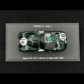 Jaguar XK120 C n° 18 Winner 24h Le Mans 1953 1/43 Spark 43LM1953