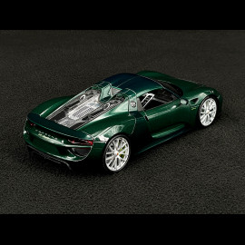 Porsche 918 Spyder 2014 Green 1/24 Welly MAP02491825