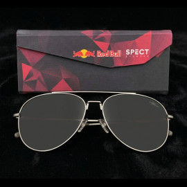 Red Bull Sonnenbrille X Spect Eyewear Silberner Rahmen / Braune Polarisierte Gläser CORSAIR-003