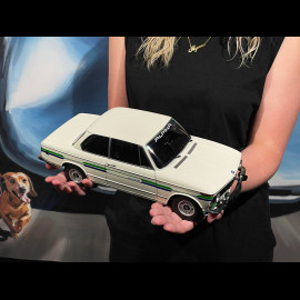 BMW 2002 Alpina SERIE 2 1974 Weiß mit blau/grünen Streifen 1/12 KK-Scale KKDC120104