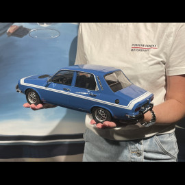 Renault 12 Gordini 1972 Blau 418 / Weiße Streifen 1/12 Ottomobile G101