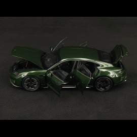 Porsche Taycan Turbo S 2024 Eichengrün Neo 1/18 Norev 187655