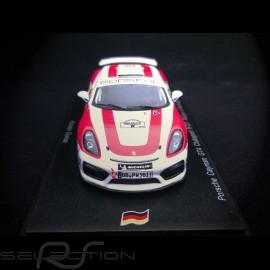 Porsche Cayman GT4 Clubsport R-GT n° 70  Rallye von Deutschland 2018 Romain Dumas 1/43 Spark SG274