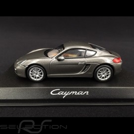 Porsche Cayman 981 2013 grey 1/43 Norev WAP0200300D