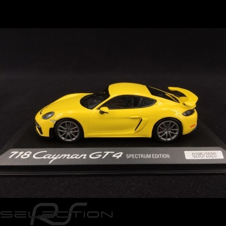 porsche-718-cayman-gt4-type-