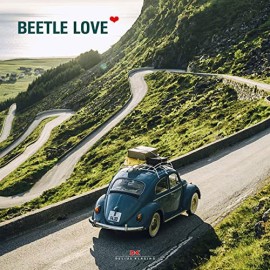 Buch Beetle Love - Thorsten Elbrigmann