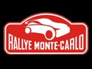 Porsche Rallye Auto